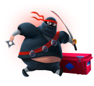 Fat Ninja